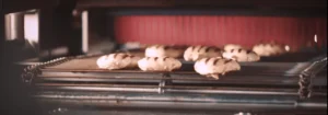 Chicken with grill marks coming out of a Marlen Flame Grill